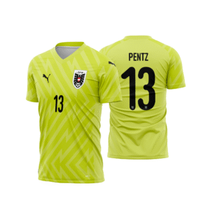 Áustria Goleiro Arte Vetor - 2024-25