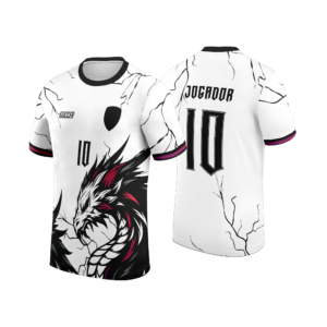 Interclasse 257 Dragão Arte Vetor