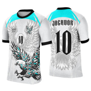 Interclasse 249 Águia Arte Vetor