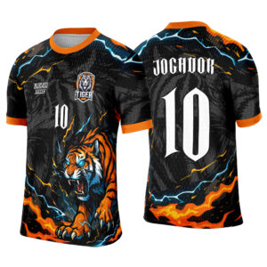 Interclasse 280 Tigre Arte Vetor