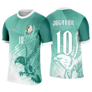 Interclasse 314 Águia Arte Vetor