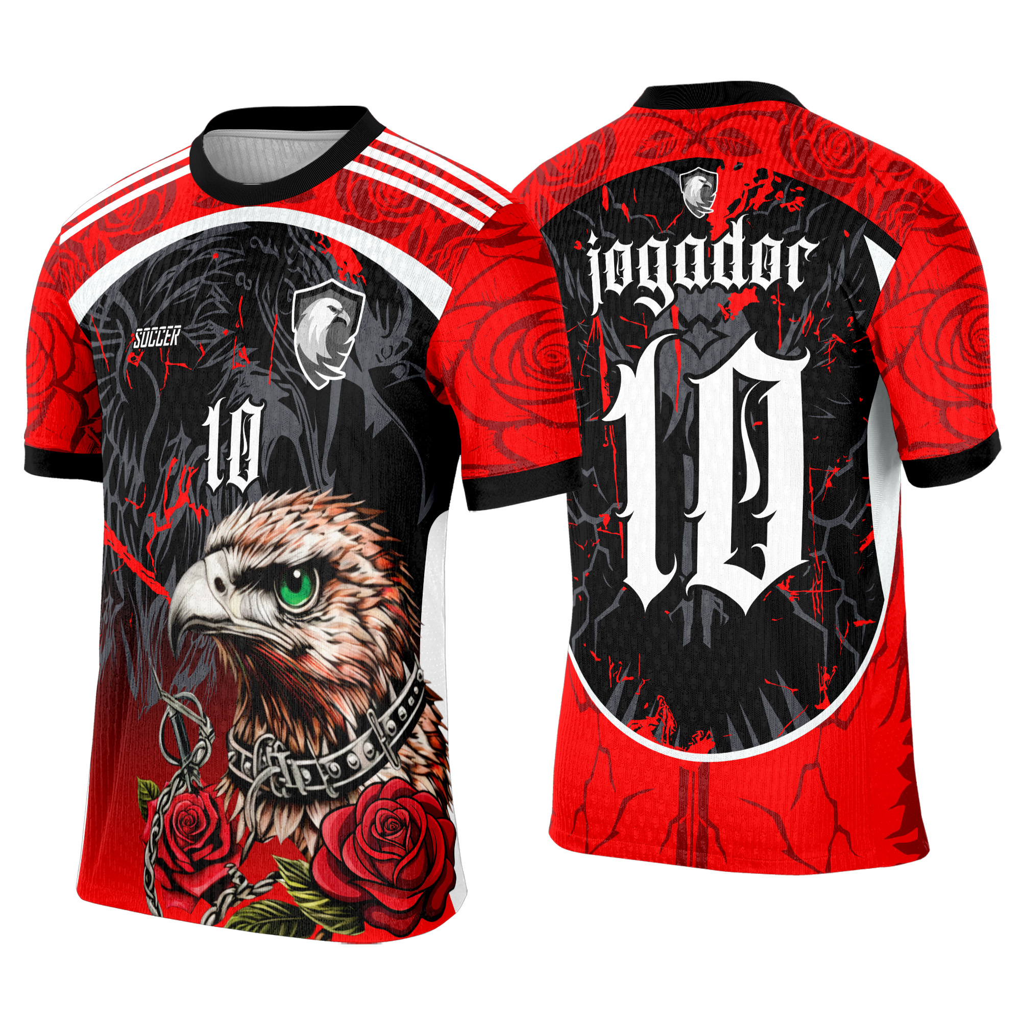 Interclasse 377 Águia Arte Vetor