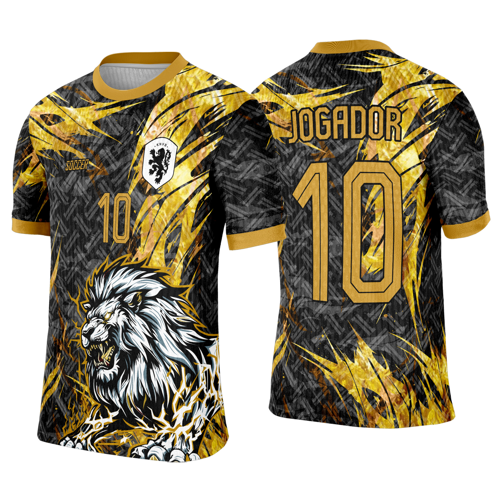 Interclasse 381 Leão Arte Vetor