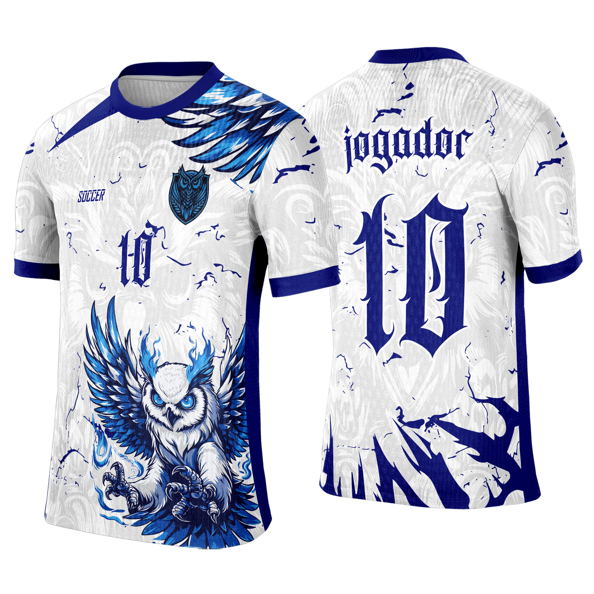 Interclasse 399 Coruja Arte Vetor