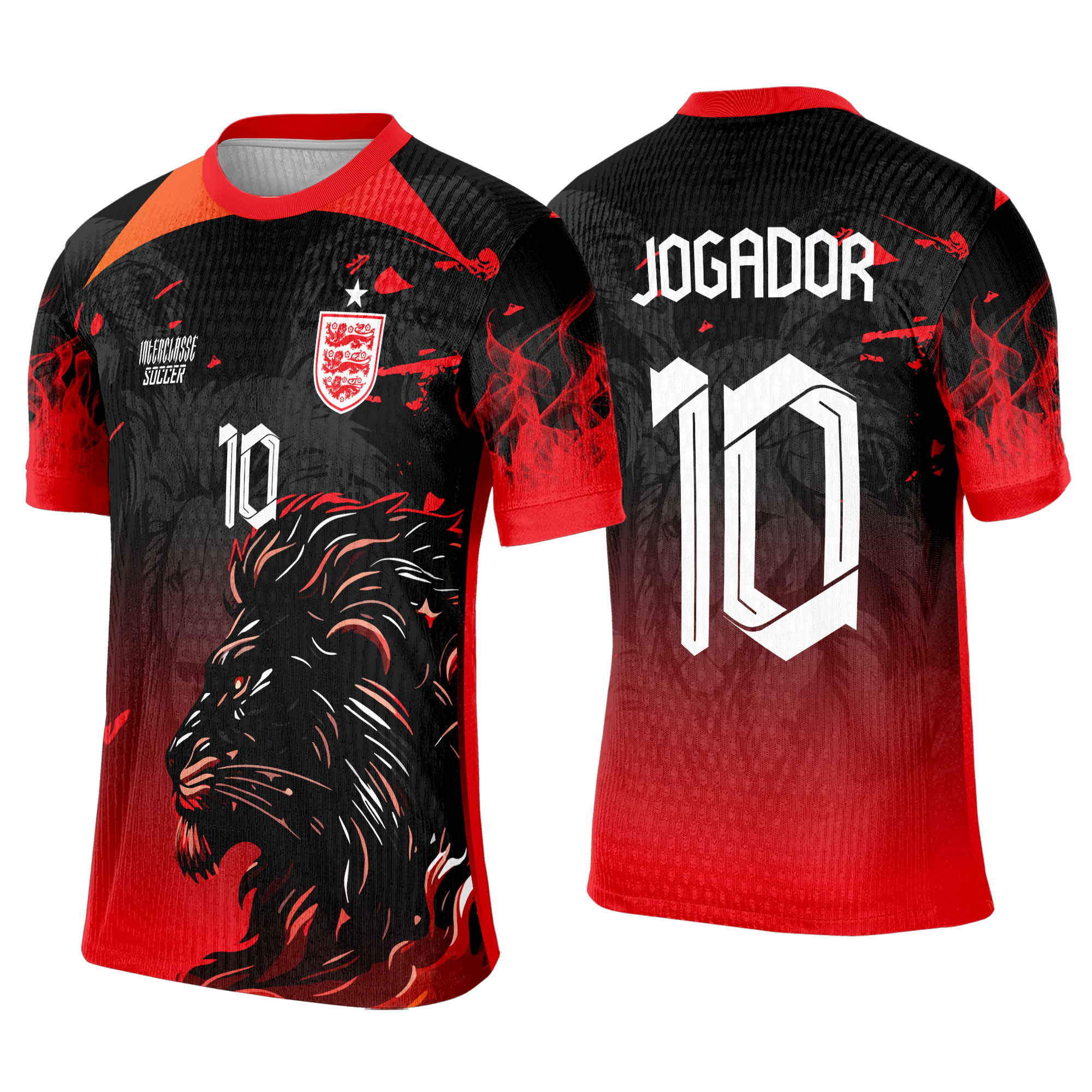 Interclasse 408 Leão Arte Vetor