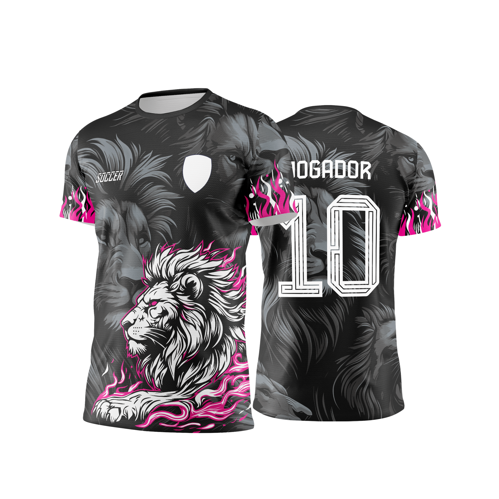 Interclasse 431 Leão Arte Vetor