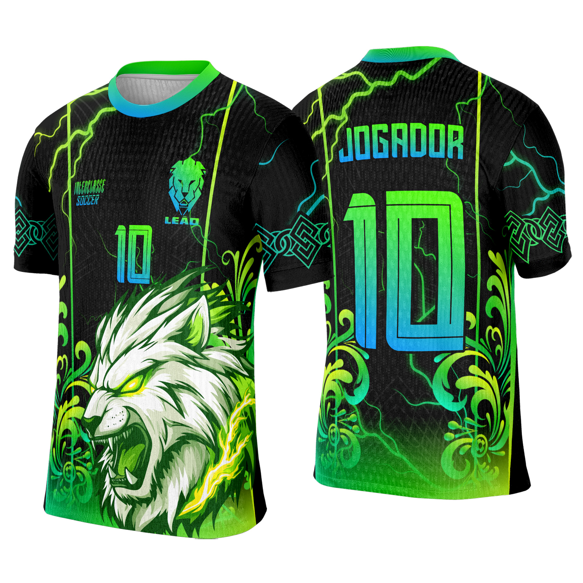 Interclasse 451 Leão Arte Vetor