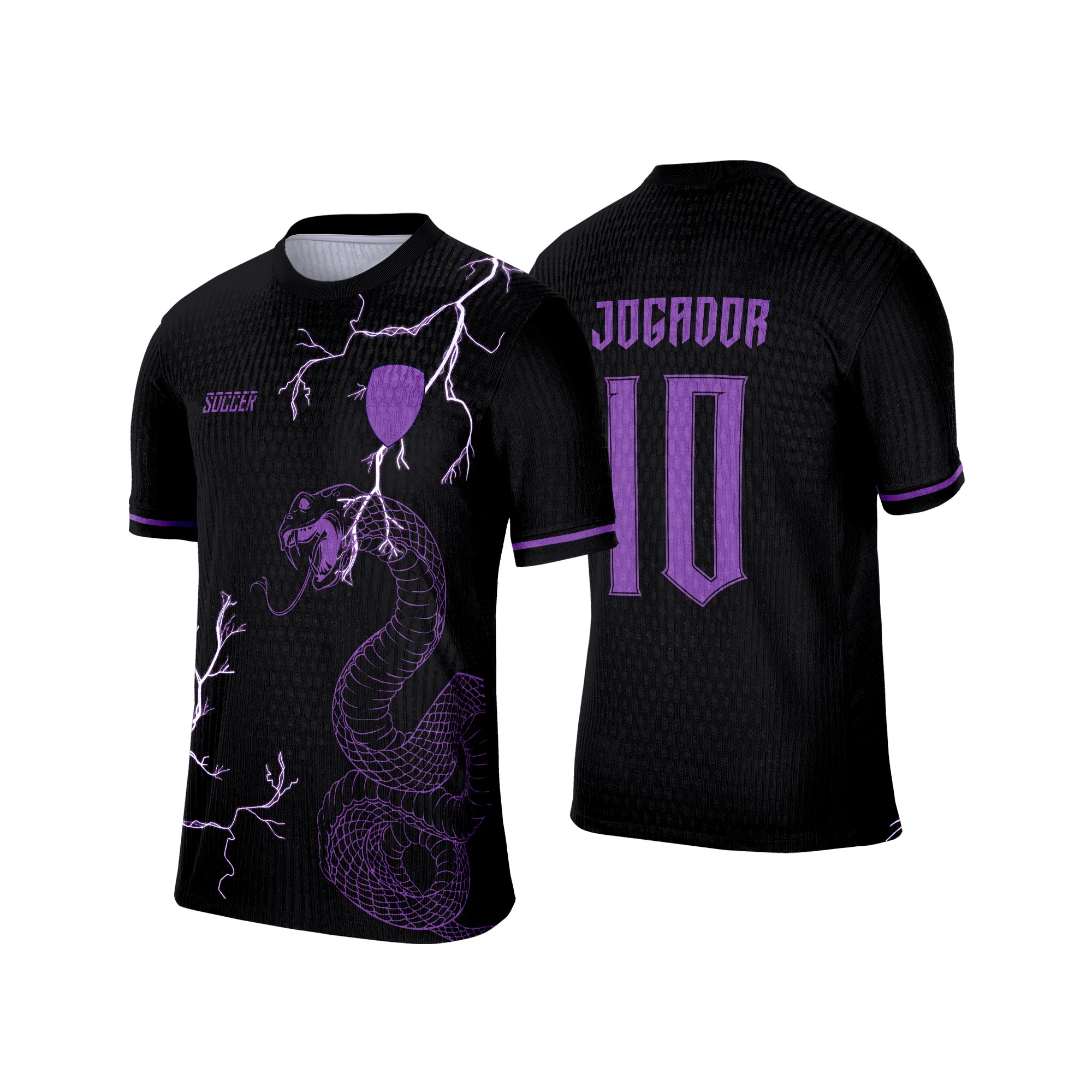 Interclasse 493 Cobra Arte Vetor