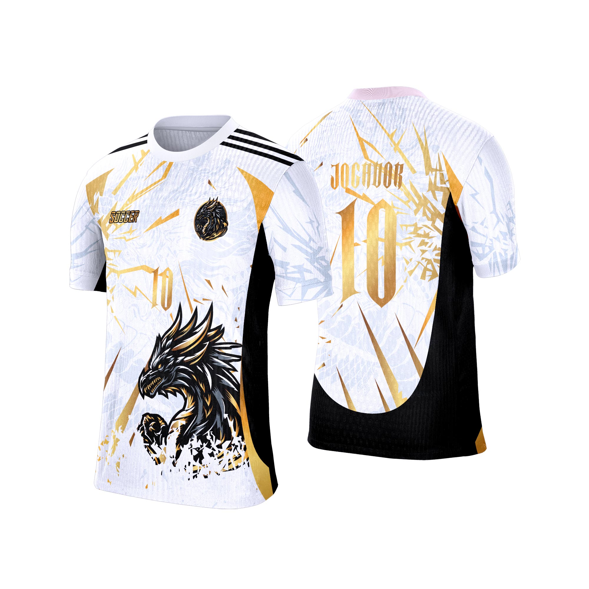 Interclasse 494 Dragão Arte Vetor