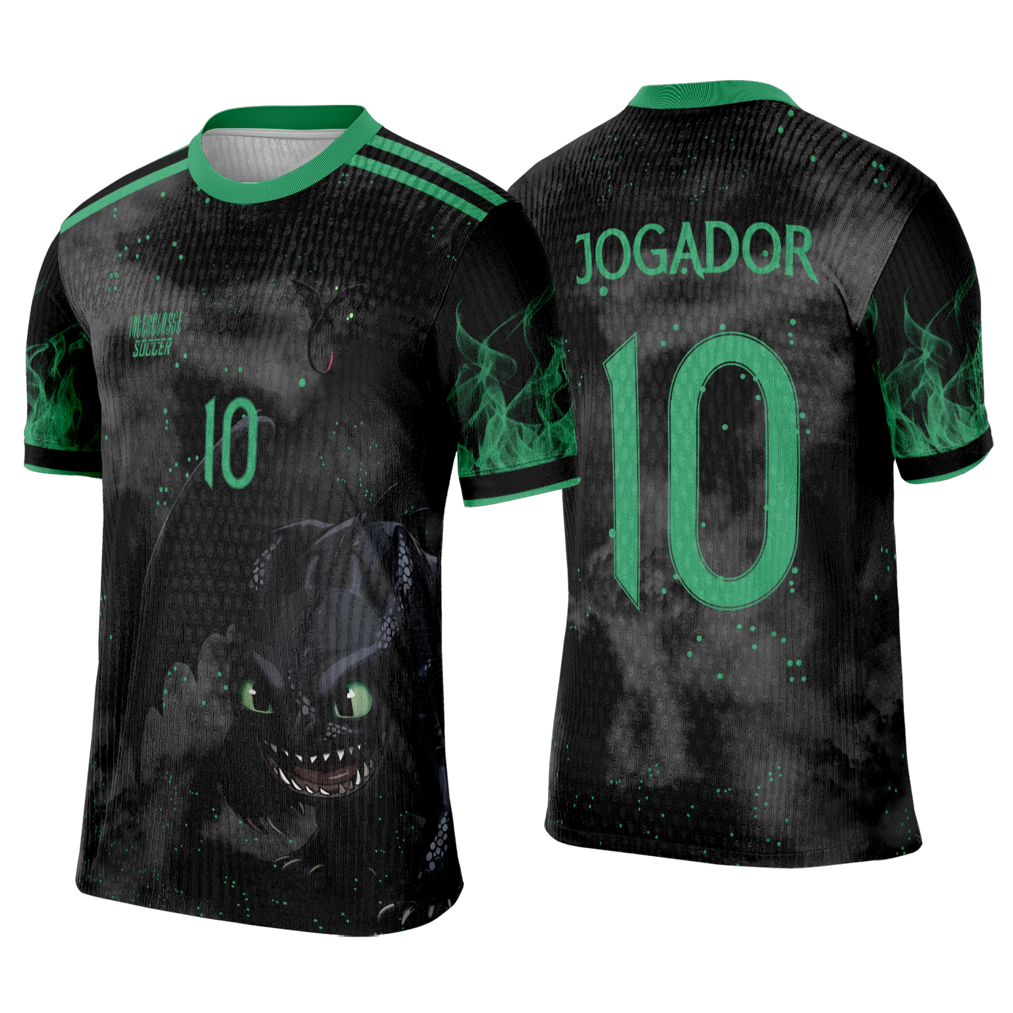 Interclasse 501 Treinar Dragão Banguela Arte Vetor