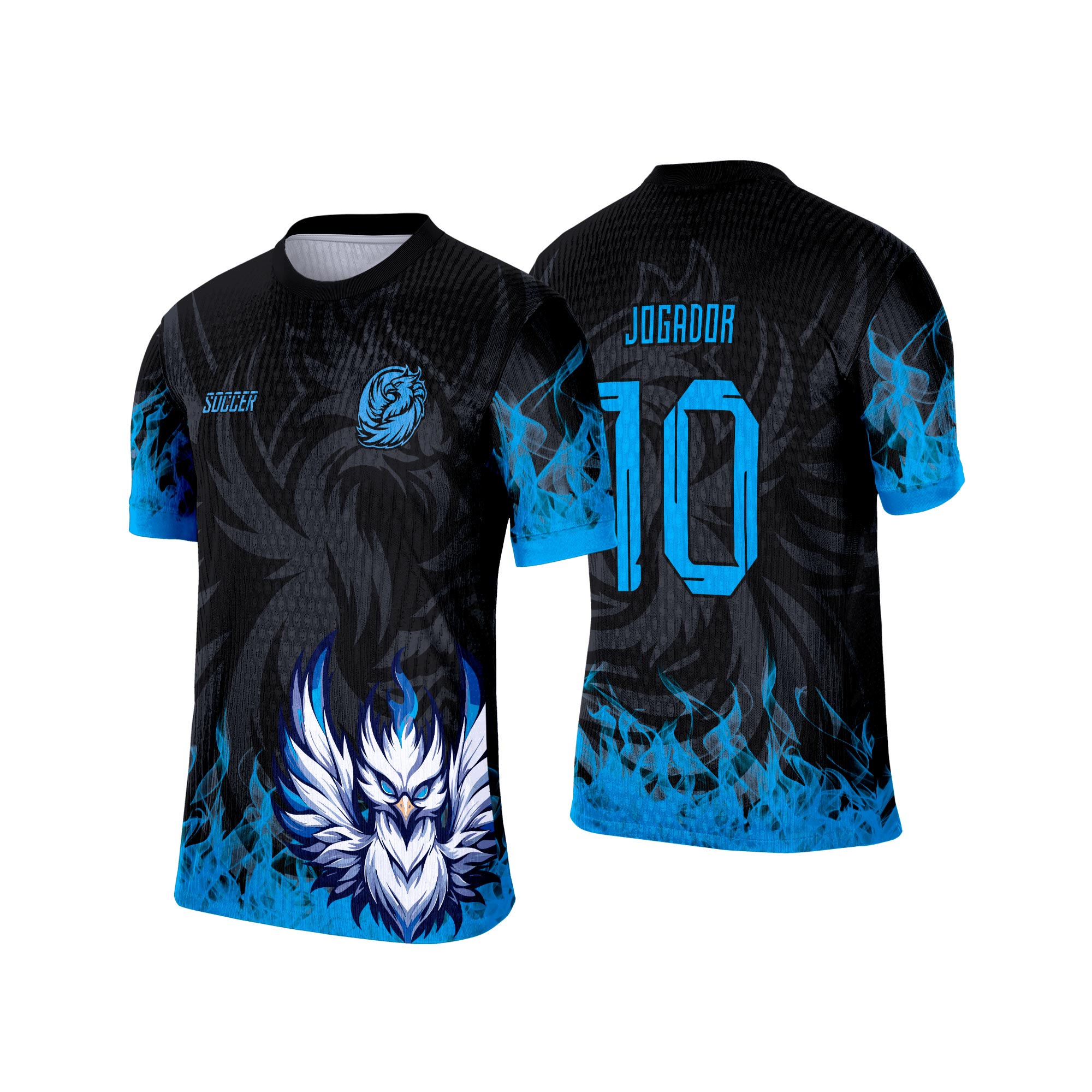 Interclasse 579 Fênix Arte Vetor