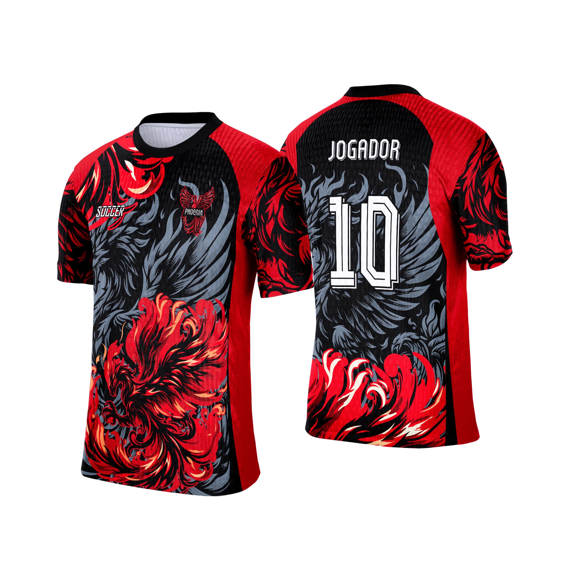 Interclasse 691 Fênix Arte Vetor