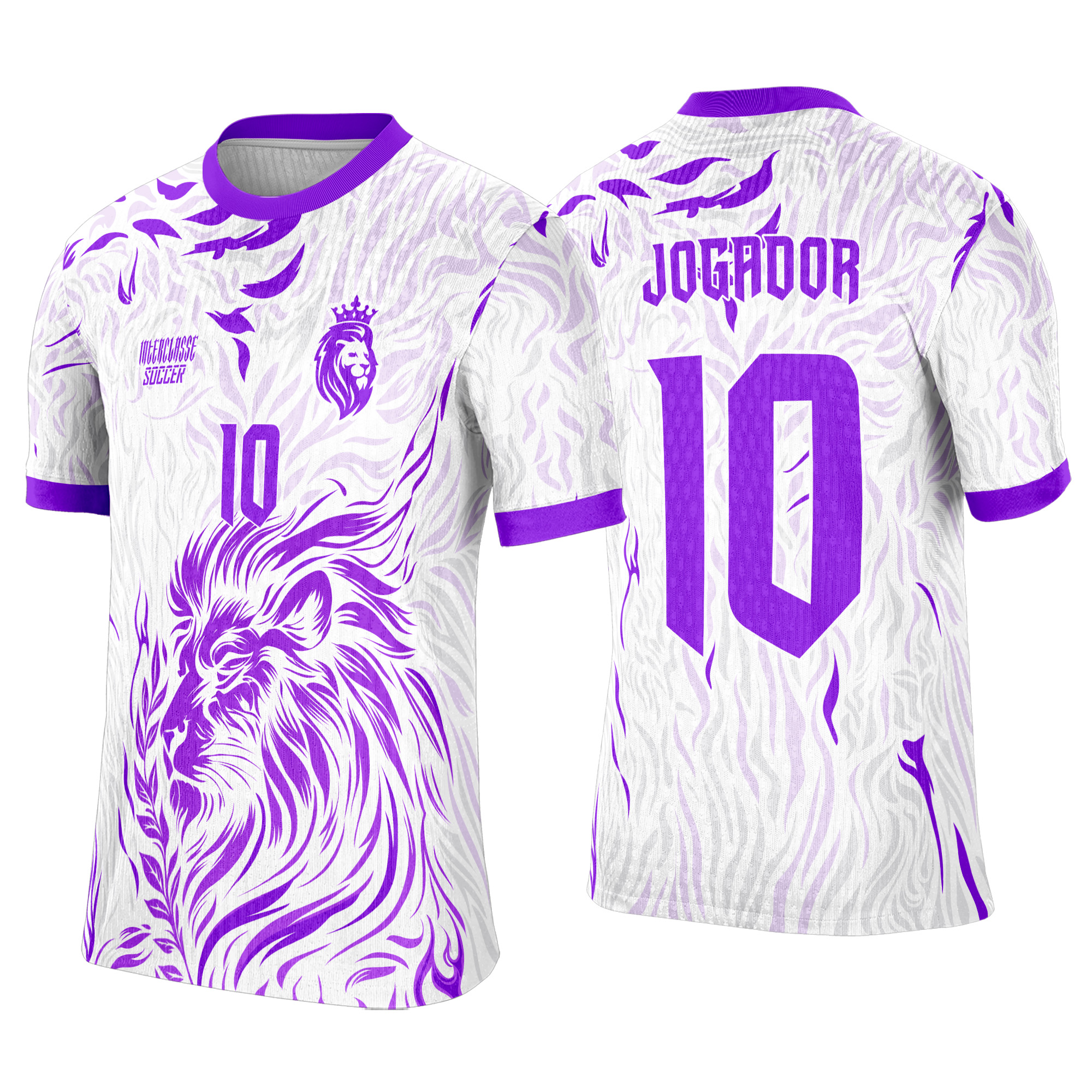 Interclasse 512 Leão Arte Vetor