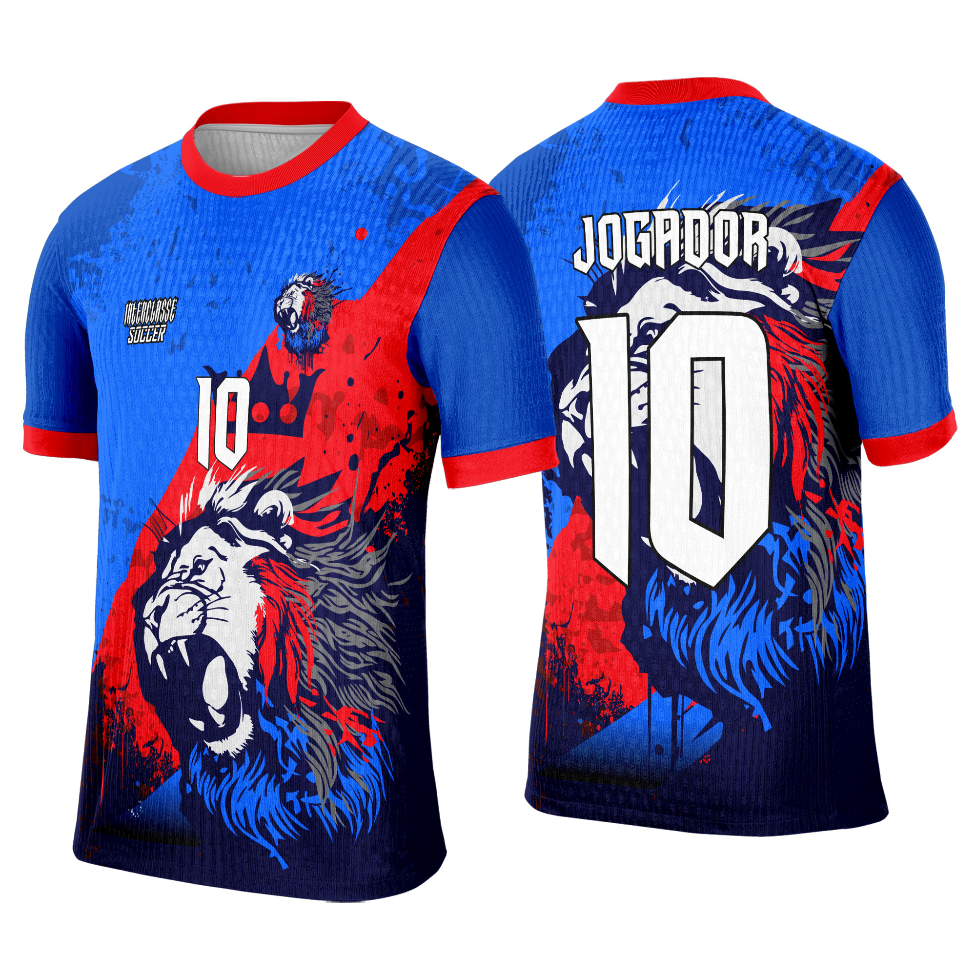 Interclasse 520 Leão Arte Vetor