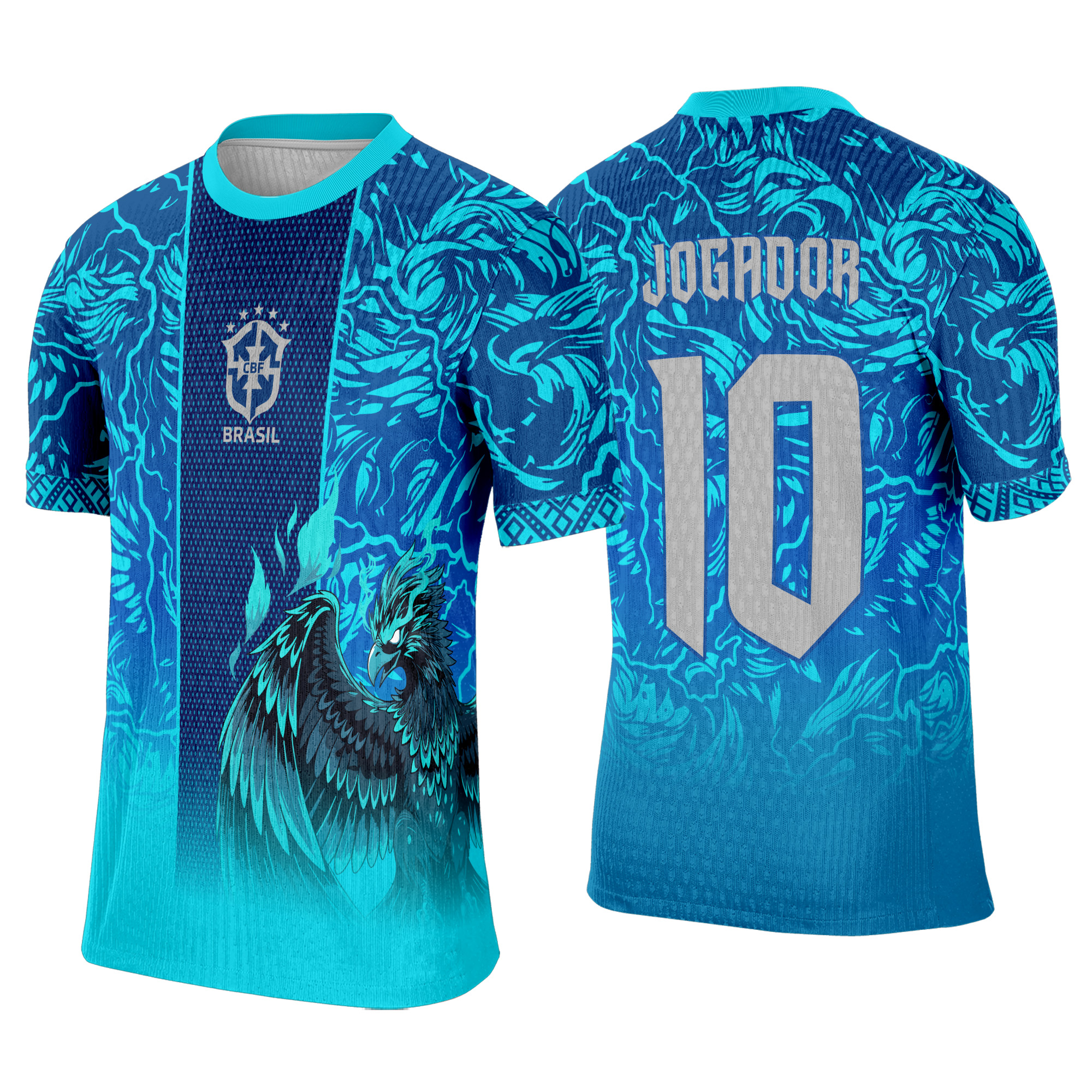 Interclasse 540 Fênix Arte Vetor