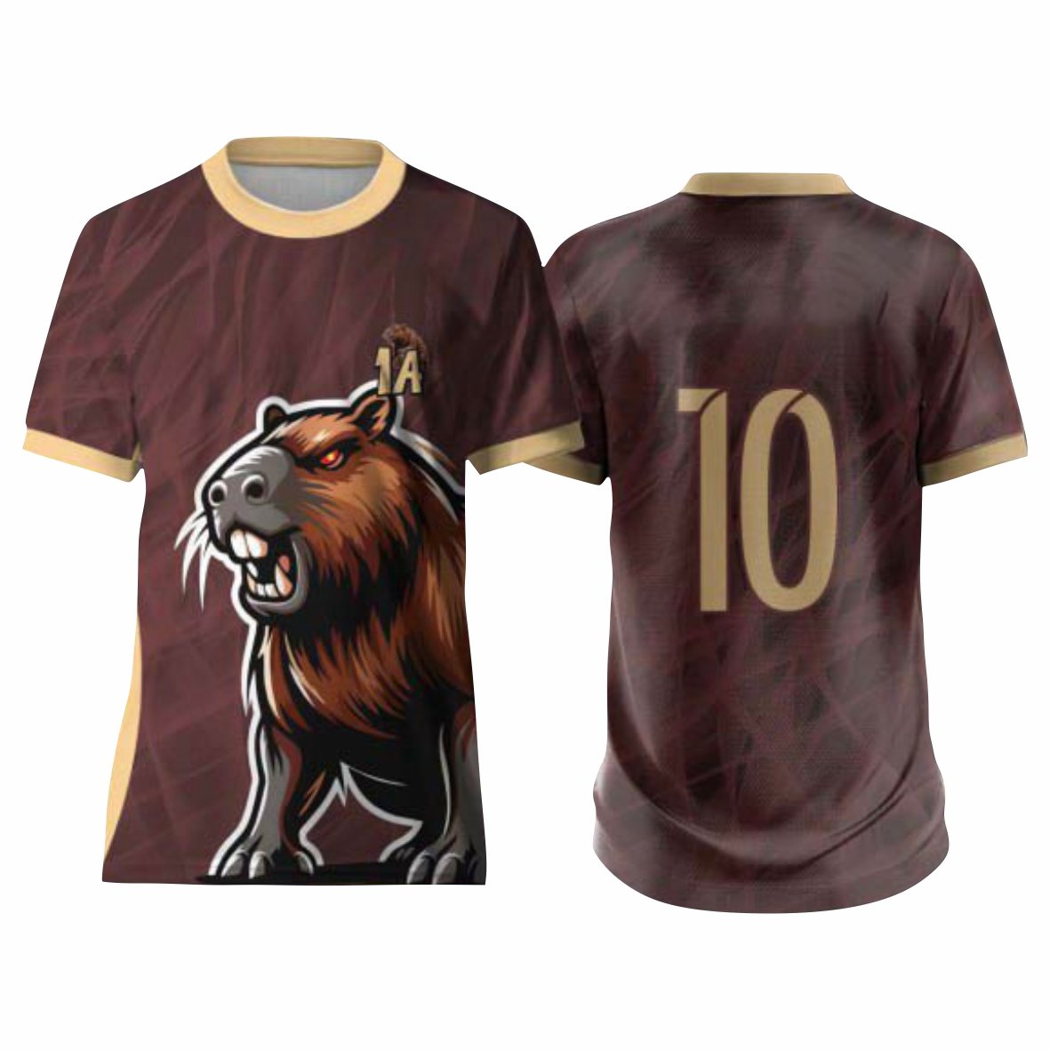 Interclasse 3PDV 029 Capivara